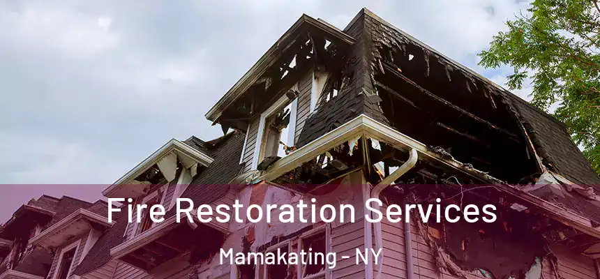  Fire Restoration Services Mamakating - NY
