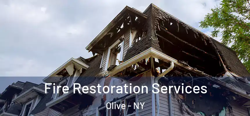  Fire Restoration Services Olive - NY