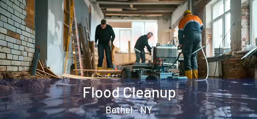  Flood Cleanup Bethel - NY
