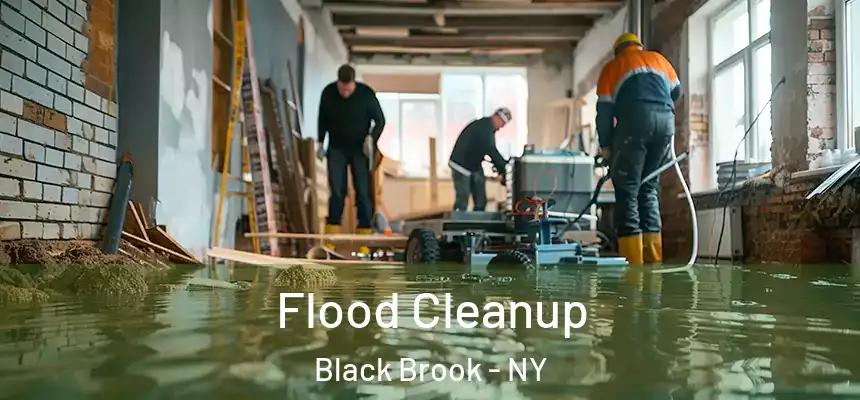  Flood Cleanup Black Brook - NY
