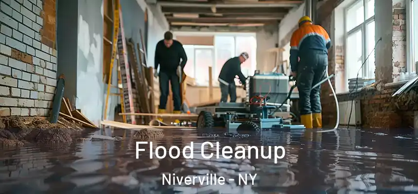 Flood Cleanup Niverville - NY