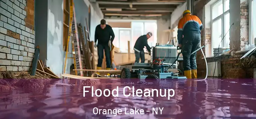 Flood Cleanup Orange Lake - NY