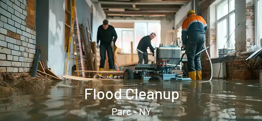  Flood Cleanup Parc - NY