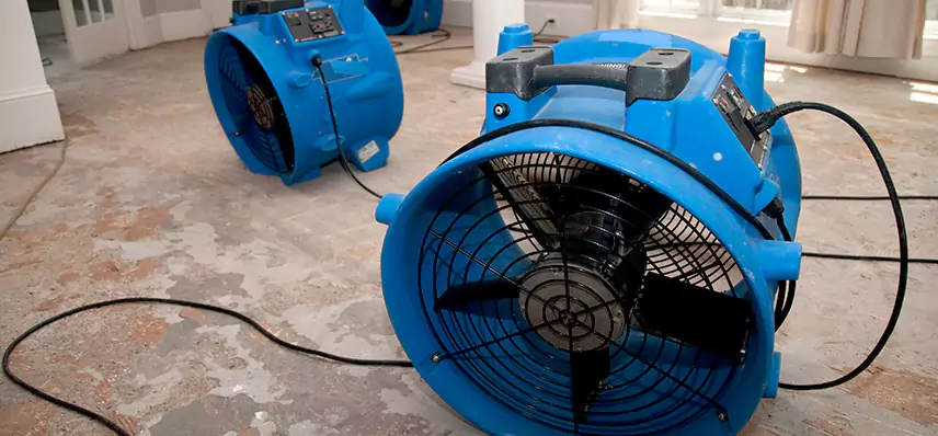 Sewage Removal Services in Menands