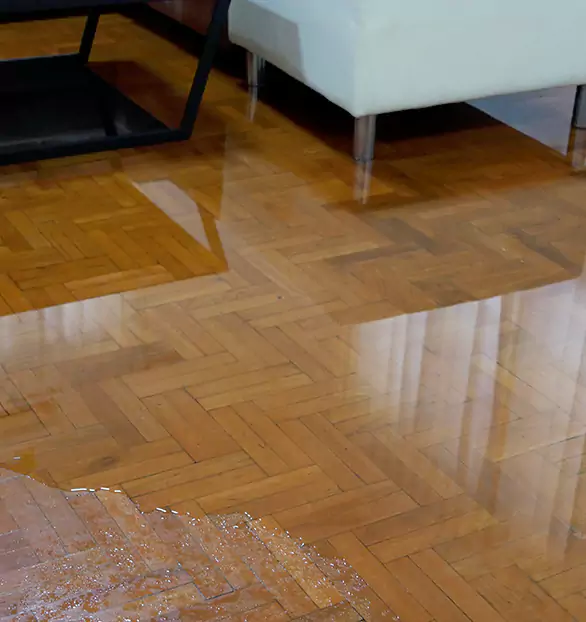 Trusted Emergency Water Restoration Company in Menands, NY