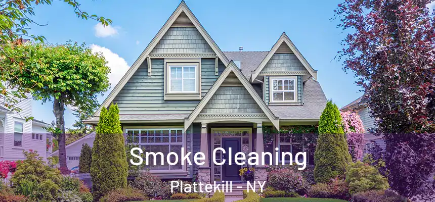  Smoke Cleaning Plattekill - NY