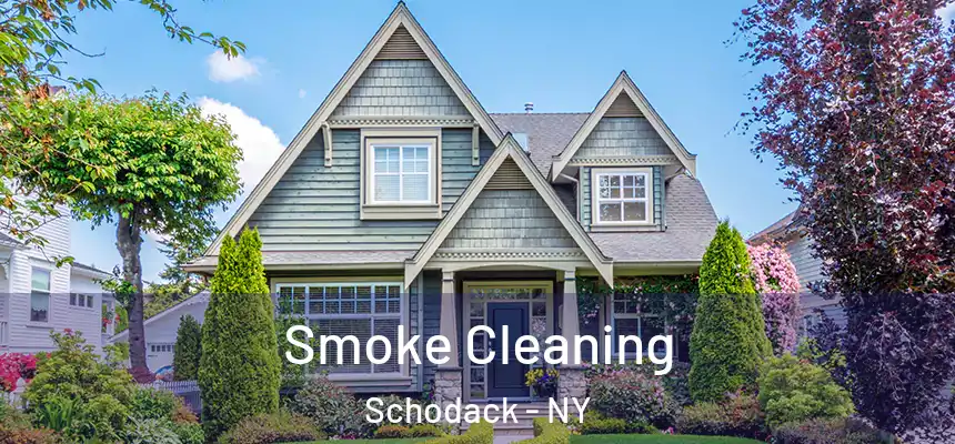  Smoke Cleaning Schodack - NY