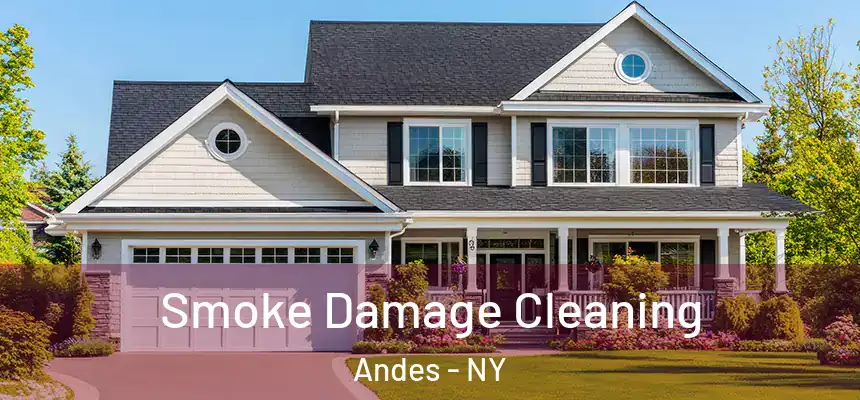 Smoke Damage Cleaning Andes - NY