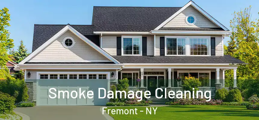  Smoke Damage Cleaning Fremont - NY